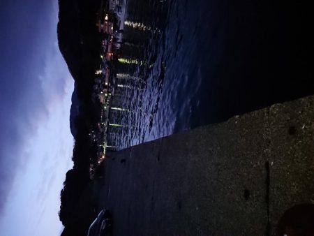 今日もガッシーのみ